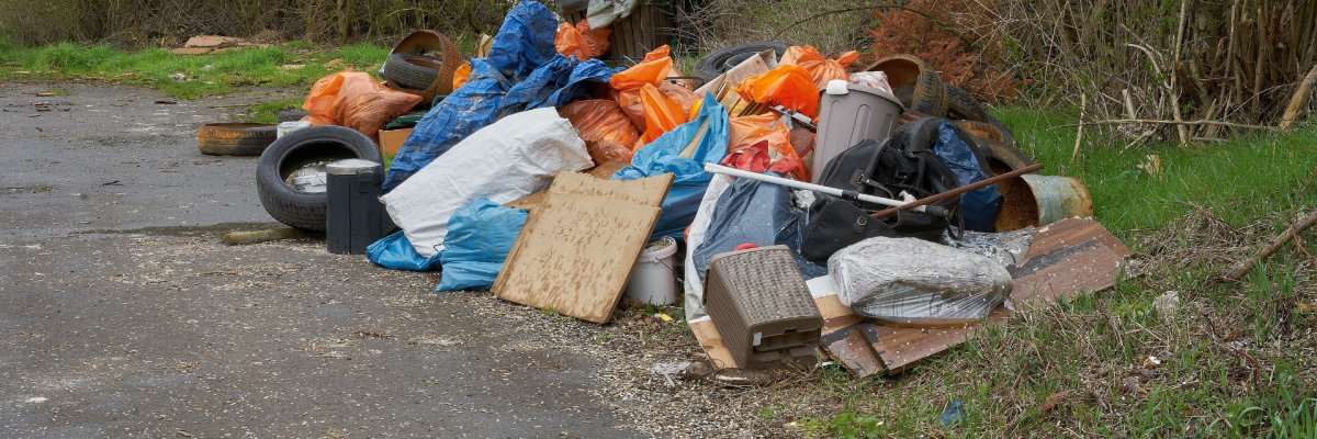 Ein großer Berg Abfälle liegt am Waldrand. Darunter befinden sich Autoreifen ohne Felgen, gefüllte orangene Säcke, Holzbretter, blaue Planen, kleine Mülleimer und vieles mehr.