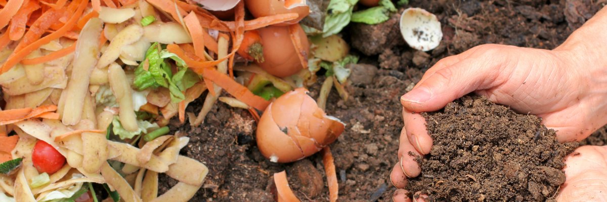 Bioabfall Im linken Teil befinden sich verschiedene Bioabfälle, wie Eierschalen und Gemüsereste. Rechts daneben liegt Erde. Zwei Hände, welche eine Schale formen, ragen aus der rechten Seite heraus und halten Erde in den Händen.