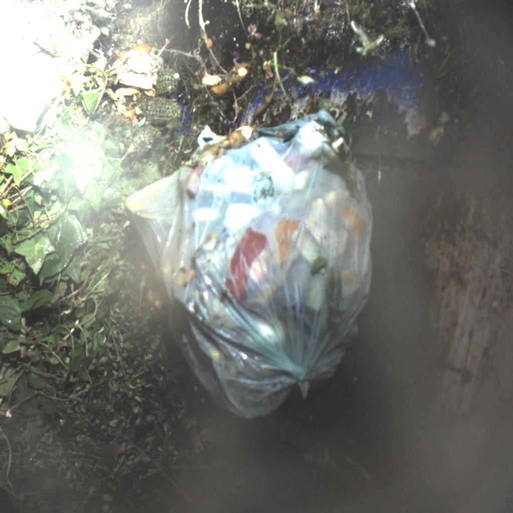 Plastiktüte im Bioabfall