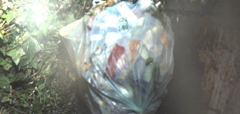 Störstoffe im Bioabfall Plastiktüte im Bioabfall
